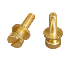 Brass Bolt