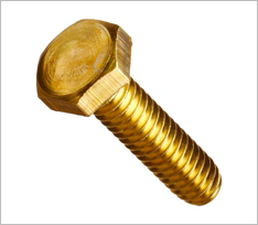 Brass Hex Bolt