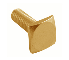 Brass Square Bolt