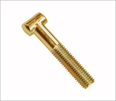 Brass Tee Bolt Round Head