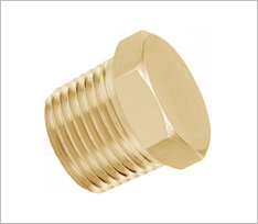 Brass Hex Pipe Plug