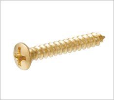 Brass Oval Head Phillips Screws