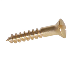 Brass Raised Head Slotted Screws