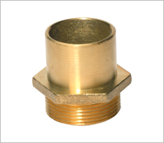 Brass Adaptor