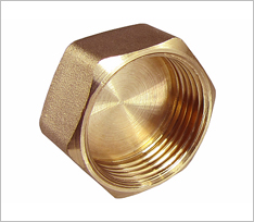 Brass Blanking Cap