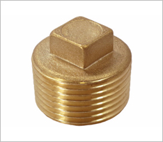 Brass Square Head Plug