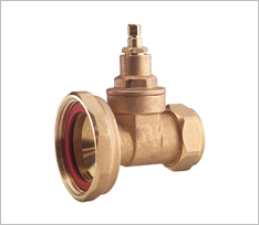 Brass Compression Pump Valve